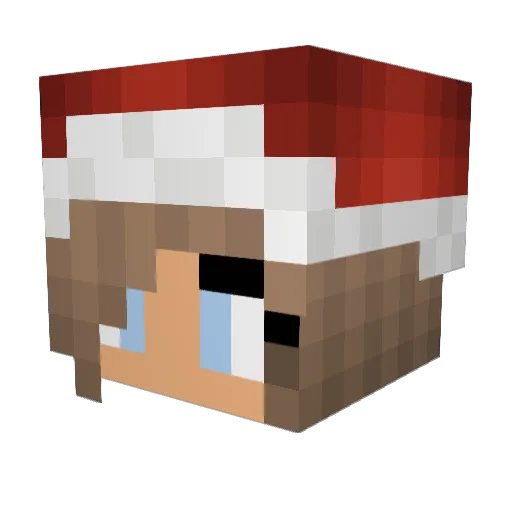 SlowDogLord Minecraft avatar head, 3D render