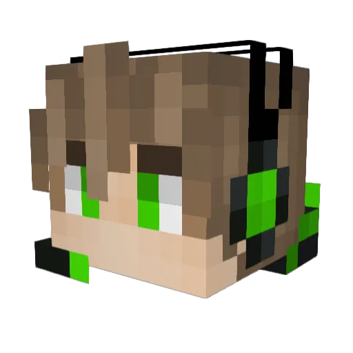 SlowKing1990 Minecraft avatar head, 3D render