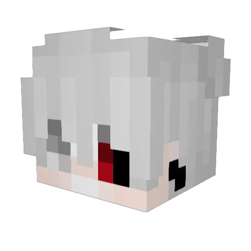 SlowTime5 Minecraft avatar head, 3D render