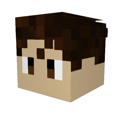 Slow_N_Stupid Minecraft avatar head, 3D render