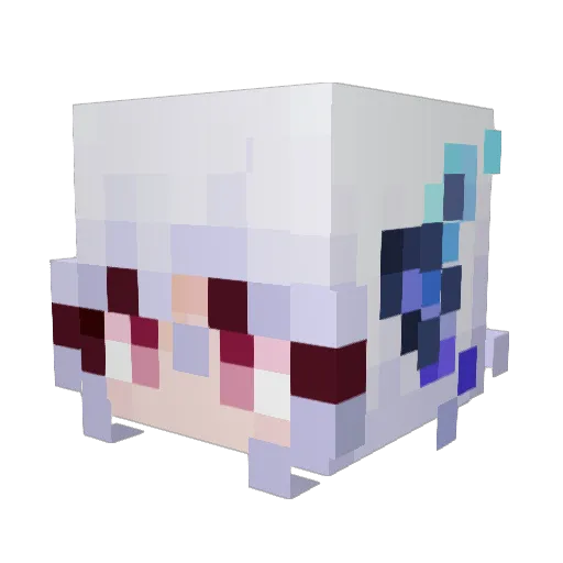 SlowedCrown9141 Minecraft avatar head, 3D render