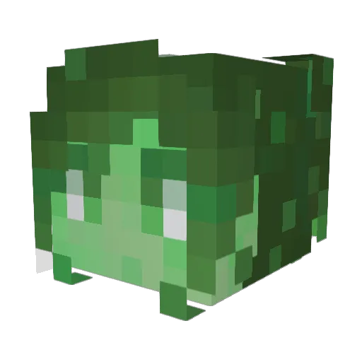 SlowedSeal24541 Minecraft avatar head, 3D render