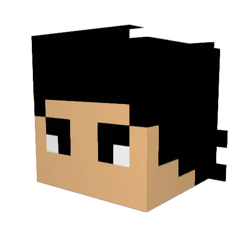 SlowedSeeker732 Minecraft avatar head, 3D render
