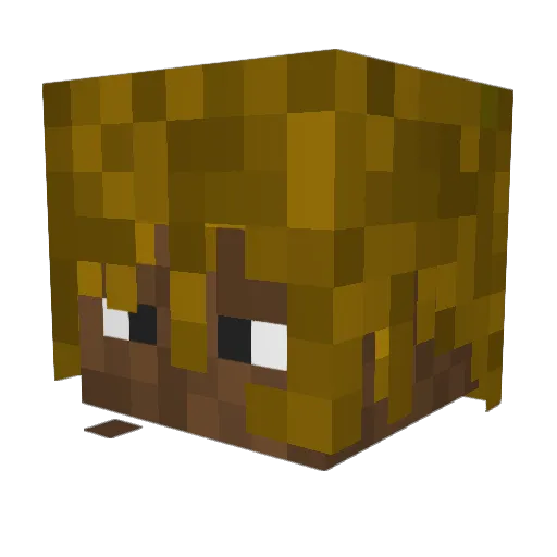 Slowishh Minecraft avatar head, 3D render