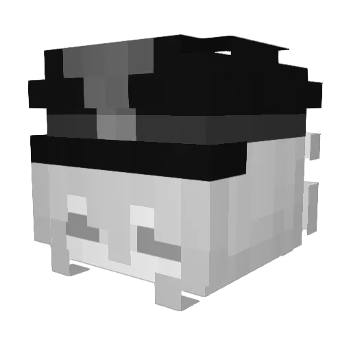 SlowlyDrops Minecraft avatar head, 3D render