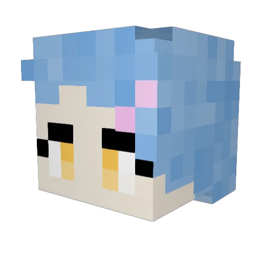 Slowpoke242 Minecraft avatar head, 3D render