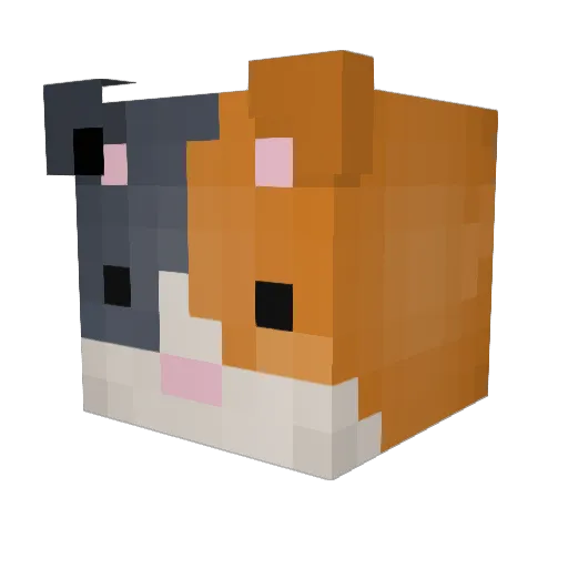 Slowy__ Minecraft avatar head, 3D render
