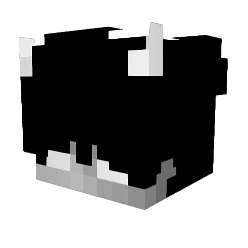 Slowzyyyyyyyyy Minecraft avatar head, 3D render