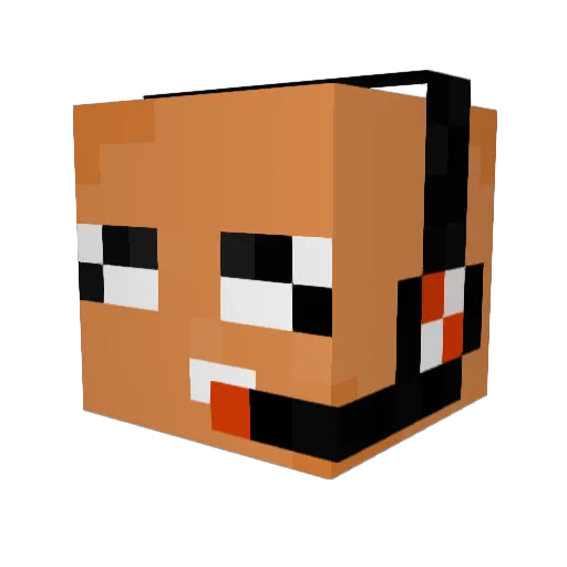 Slox891 Minecraft avatar head, 3D render