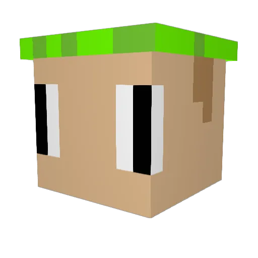 Slug_ToadWAS Minecraft avatar head, 3D render