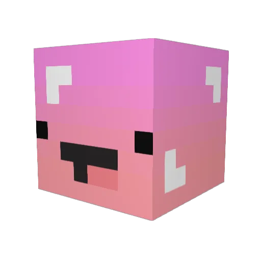 SluggedKestrel9 Minecraft avatar head, 3D render