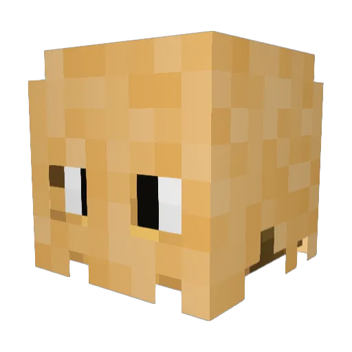 Sluiperd Minecraft avatar head, 3D render