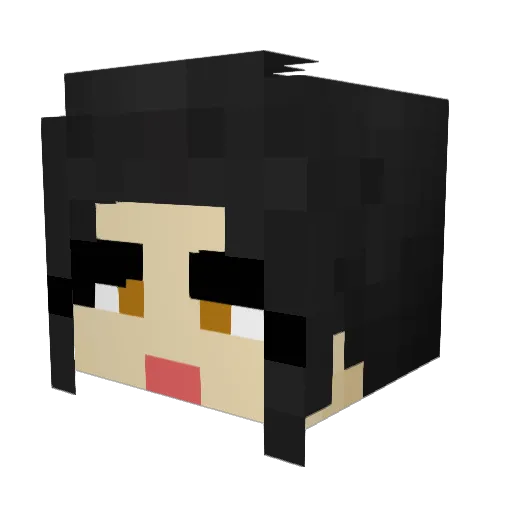 SlumpedDumplin1 Minecraft avatar head, 3D render