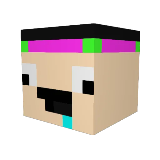 Sluper2123 Minecraft avatar head, 3D render
