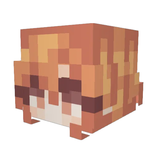 Slurpeed Minecraft avatar head, 3D render