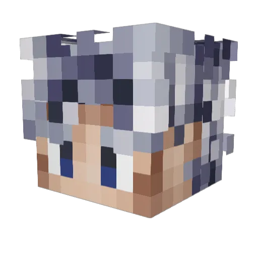 Slushie1Gaming Minecraft avatar head, 3D render