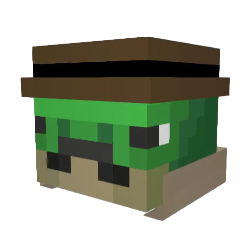 SlushyTheTurtle Minecraft avatar head, 3D render
