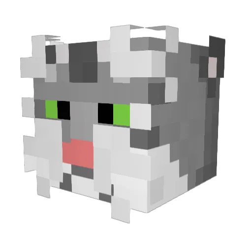 Slushyness Minecraft avatar head, 3D render