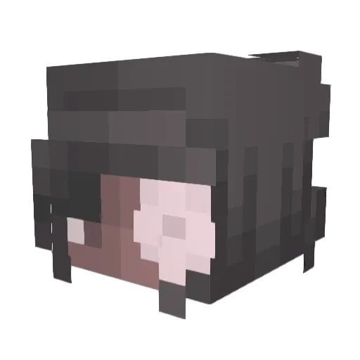 SlushyyPlushyy Minecraft avatar head, 3D render