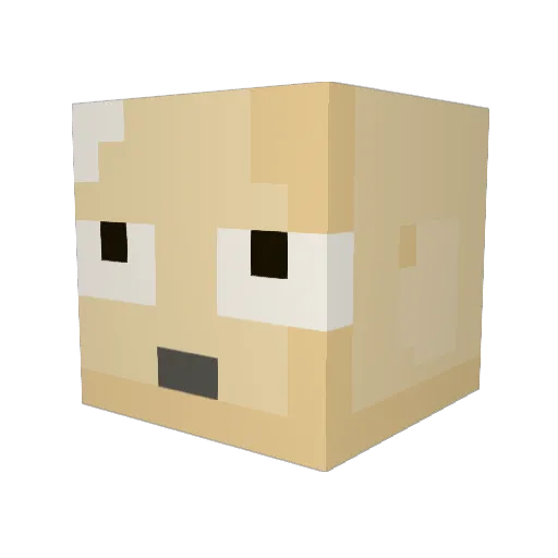 Slv213 Minecraft avatar head, 3D render