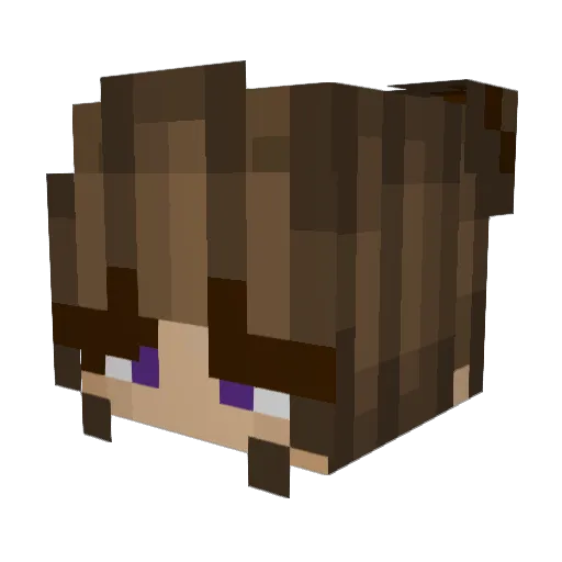 Slwiko Minecraft avatar head, 3D render