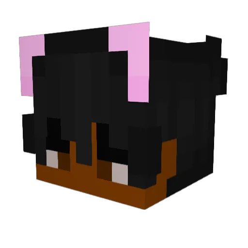 Slxfer Minecraft avatar head, 3D render