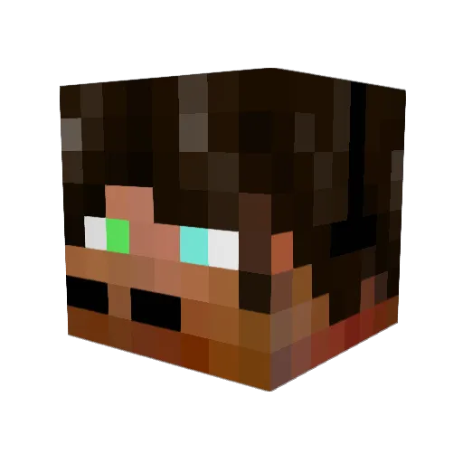 SlyByrd Minecraft avatar head, 3D render