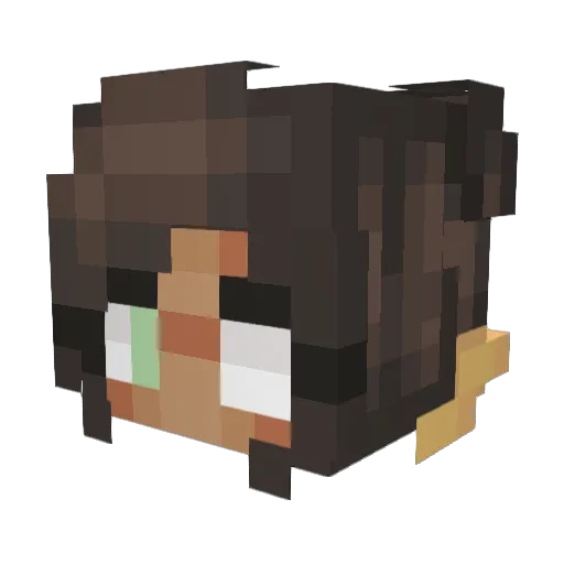 SlyCatxox Minecraft avatar head, 3D render