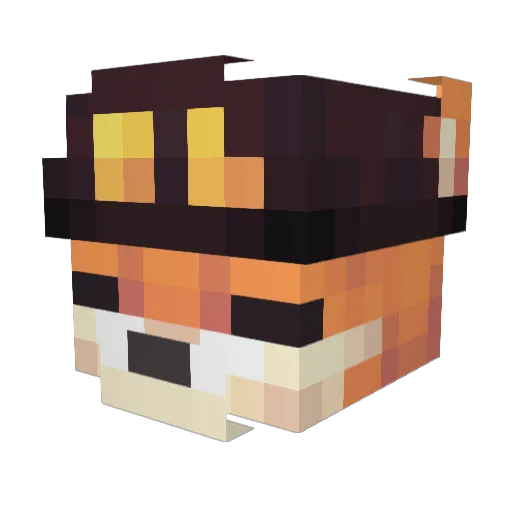 SlyFox06 Minecraft avatar head, 3D render