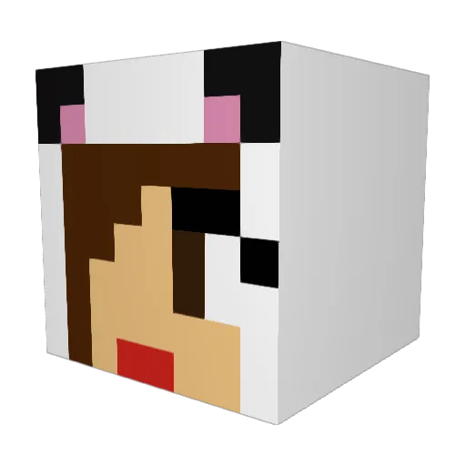 SlyGPG Minecraft avatar head, 3D render