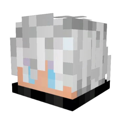 SlyGoodTiger Minecraft avatar head, 3D render