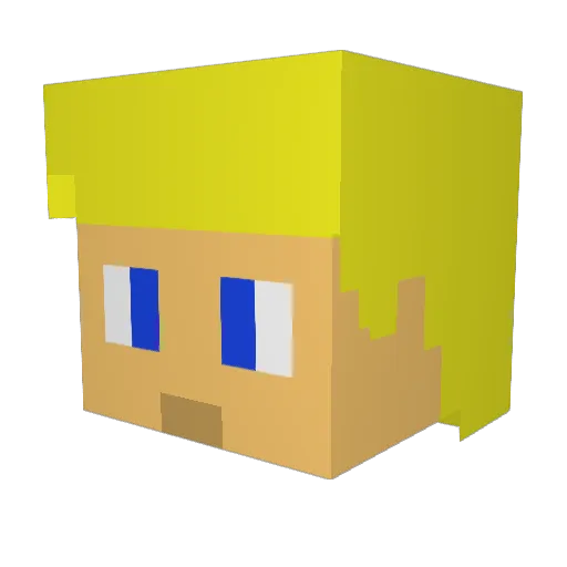 SlyNinja98 Minecraft avatar head, 3D render