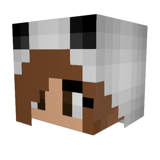 SlyStriker55 Minecraft avatar head, 3D render