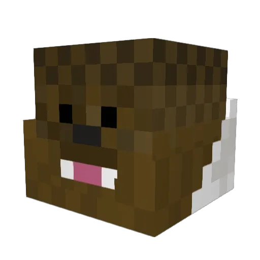 Sly_Coop Minecraft avatar head, 3D render