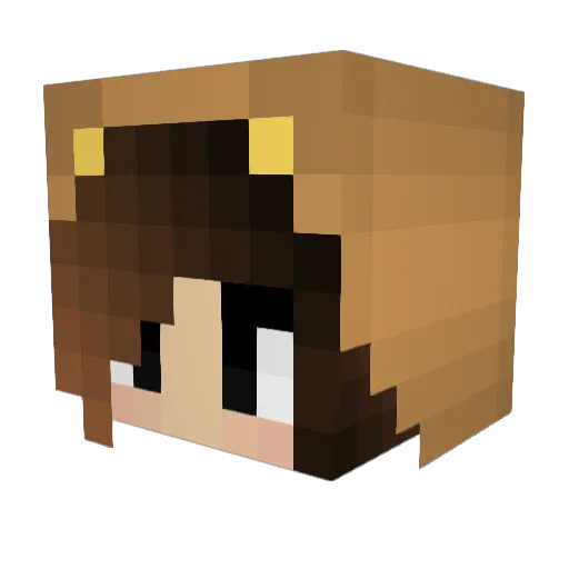 Slycoo Minecraft avatar head, 3D render