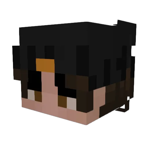 Slyfox045826 Minecraft avatar head, 3D render