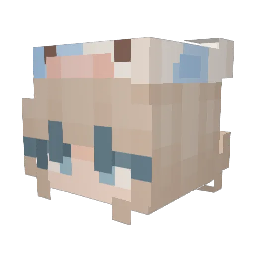 Slynnn9 Minecraft avatar head, 3D render
