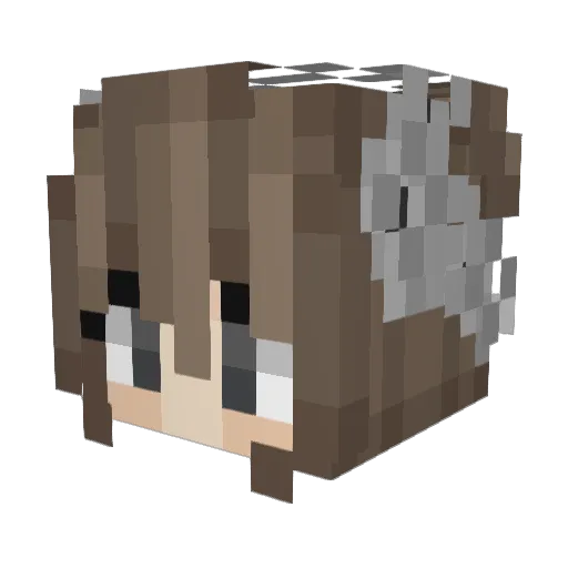 Slyph7 Minecraft avatar head, 3D render