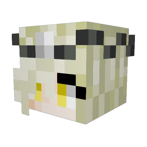 Slytherclaw78 Minecraft avatar head, 3D render
