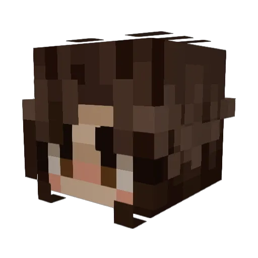 SlyvaWawi Minecraft avatar head, 3D render