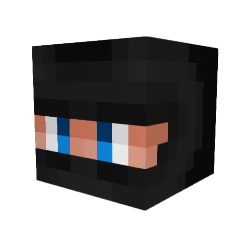 Sm0keW33dEvryd4y Minecraft avatar head, 3D render