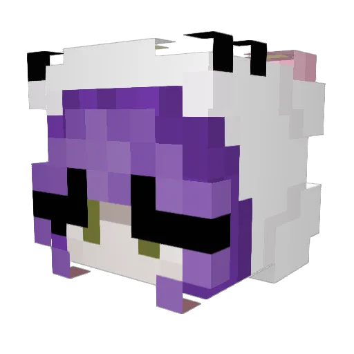 Sm0llFloof Minecraft avatar head, 3D render