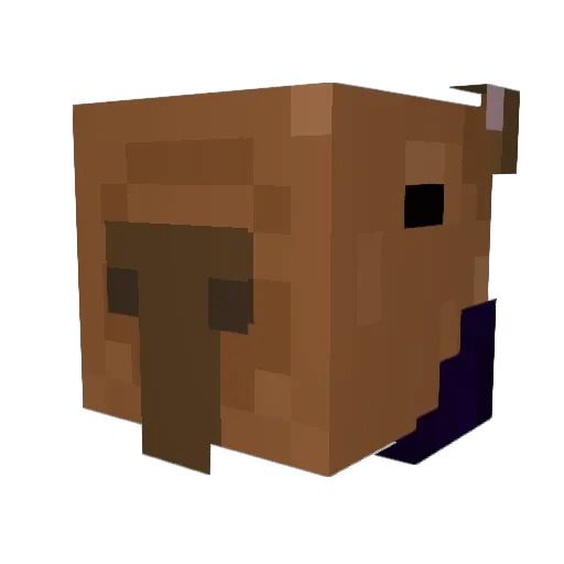 Sm0reDW Minecraft avatar head, 3D render