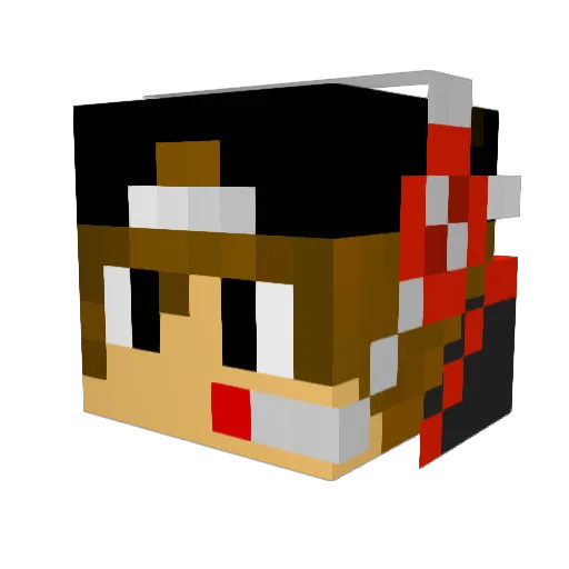 Sm1le64 Minecraft avatar head, 3D render