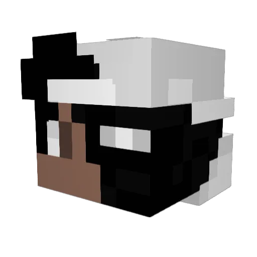 SmaillX_X Minecraft avatar head, 3D render