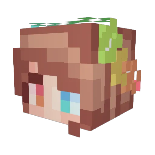 Smalhotra Minecraft avatar head, 3D render