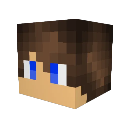SmallChan91 Minecraft avatar head, 3D render