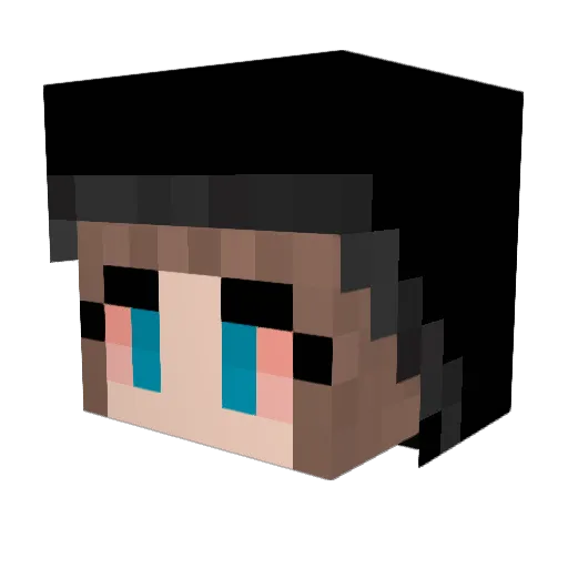 SmallFry666 Minecraft avatar head, 3D render