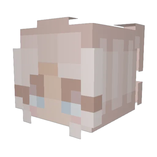 SmallFwBiss Minecraft avatar head, 3D render