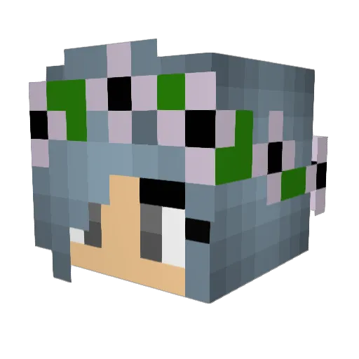 SmallGaLm Minecraft avatar head, 3D render